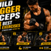 Bigger biceps exercises including dumbbell curls hammer curls and preacher curls